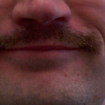Will Greenhalgh's Mustache